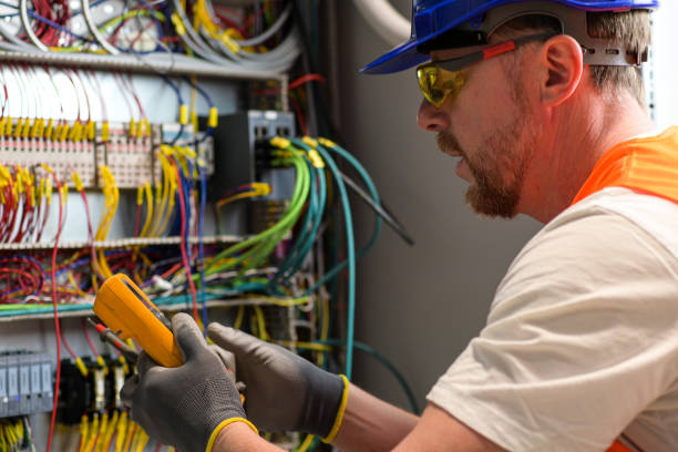Best Electric Panel Repair  in Lindsay, TX